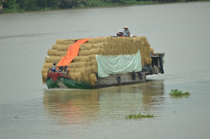 Delta du Mekong